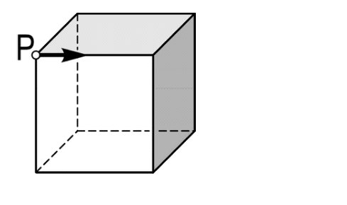 Figure for Math Kangaroo 2009 Problem 21