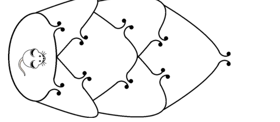 Figure for Math Kangaroo 2016 Problem 10