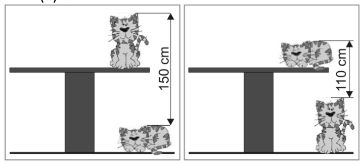 Figure for Math Kangaroo 2018 Problem 4