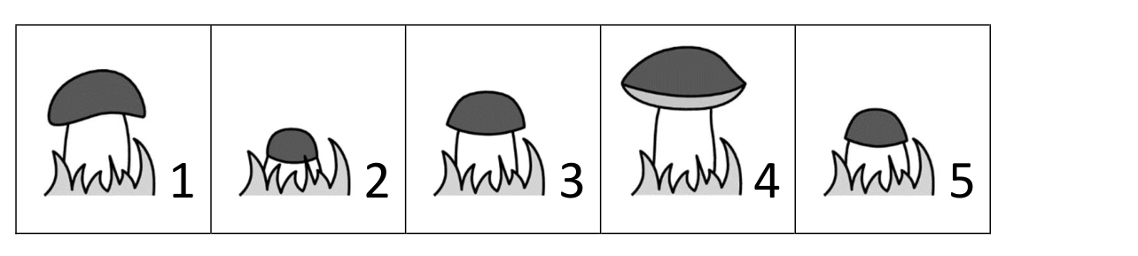 Figure for Math Kangaroo 2020 Problem 1