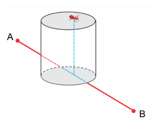 Figure for Math Kangaroo 2020 Problem 2