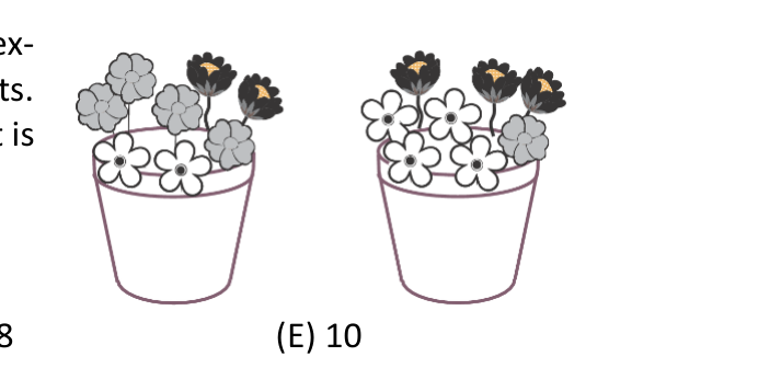 Figure for Math Kangaroo 2021 Problem 12