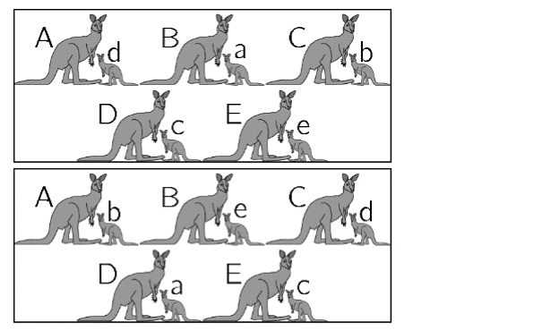 Figure for Math Kangaroo 2021 Problem 24