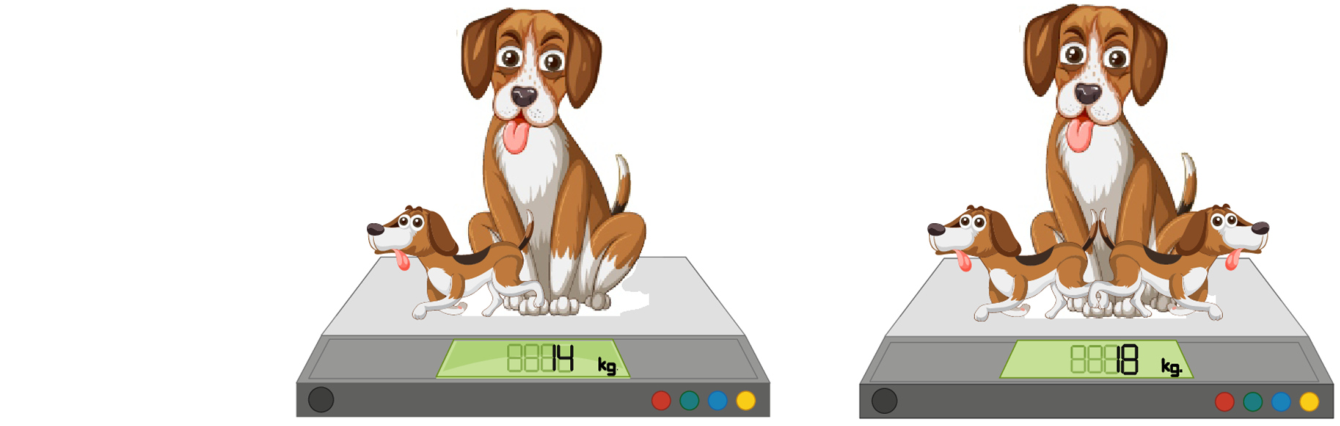 Figure for Math Kangaroo 2025 Problem 8